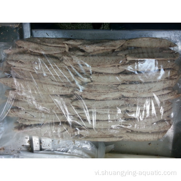 Cá ngừ bonito thắt lưng 6kg 7kg cho nhà máy đóng hộp